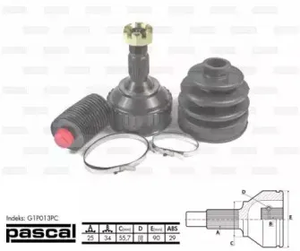 pascal-g1p013pc