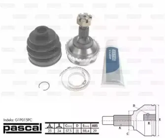 pascal-g1p015pc