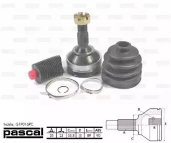 G1P016PC PASCAL Шарнирный комплект, приводной вал