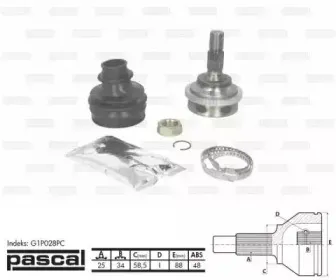 pascal-g1p028pc