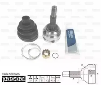 G1X002PC PASCAL