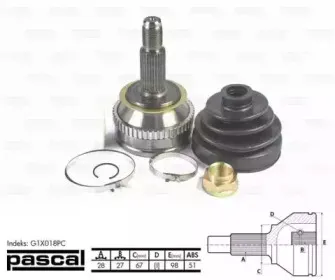pascal-g1x018pc