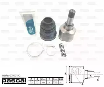 pascal-g7p001pc