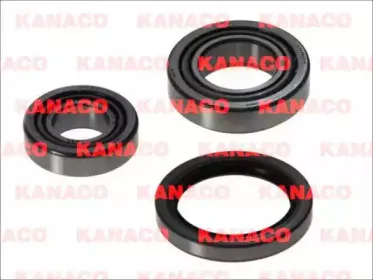 kanaco-h13010