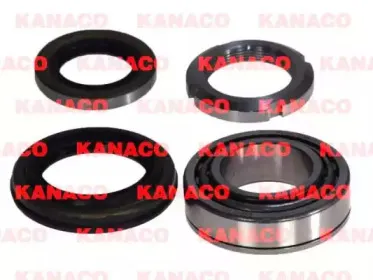 H20311 KANACO
