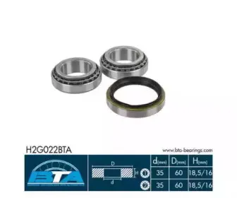 bta-h2g022bta