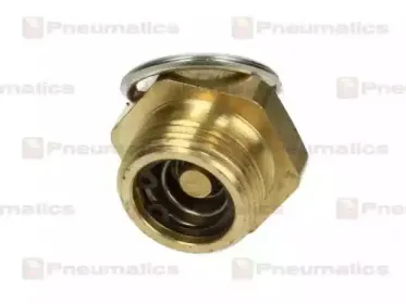 pneumatics-pn10088