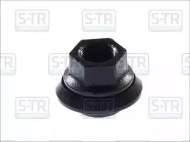 str-str40309
