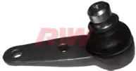 riw-au1001