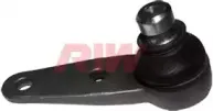 riw-au1007