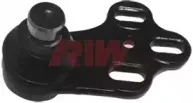 riw-au1011