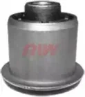 riw-au11001