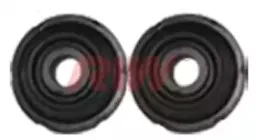 riw-au11010