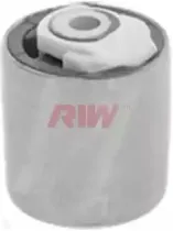 riw-au11041