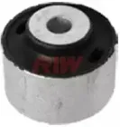 riw-au11045