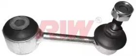 riw-au4020