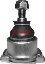 riw-bw1003