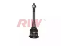 riw-bw1009