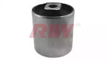 riw-bw11019