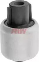 riw-bw11039