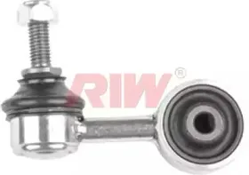 riw-bw4005