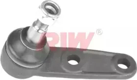 riw-cv1002