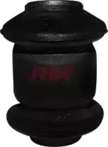 riw-cv11007