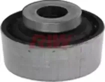 riw-cv11010
