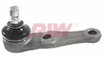 riw-dw1001