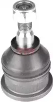 riw-fi1006