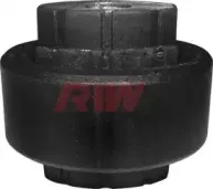 riw-fi11005
