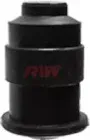 riw-fi11040