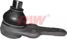 riw-fo1005