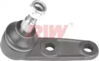 riw-fo1006