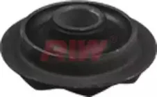 riw-fo11032