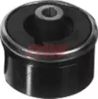 riw-fo11041