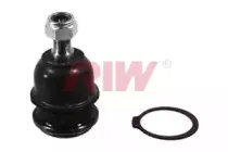 riw-hy1020