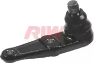riw-ki1004