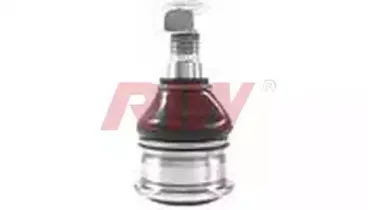riw-ns1002