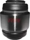 riw-pe10001