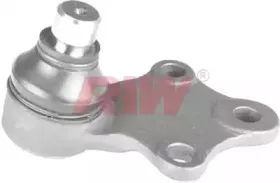 riw-pe1011