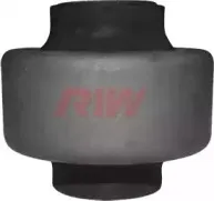 riw-pe11010