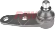 riw-rn1006