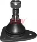 riw-rn1009