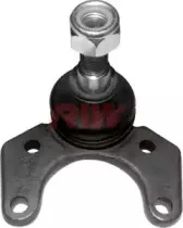 riw-rn1010