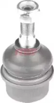 riw-rn1017