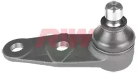 riw-rn1019