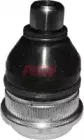 riw-rn1022