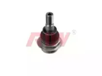 riw-rn1031