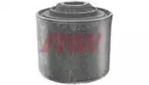 riw-rn11011